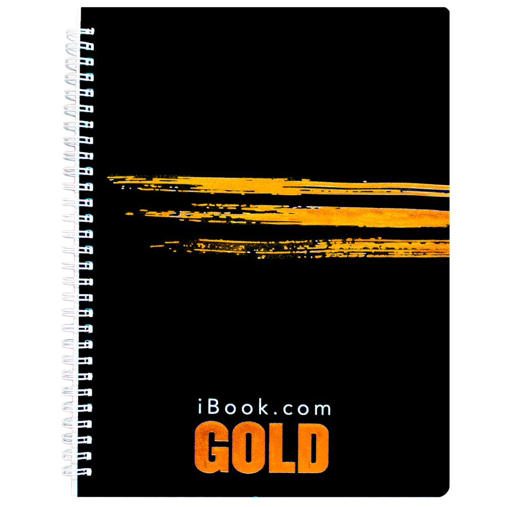 CUADERNO ESPIRAL FF RAYA 100 HJS GOLD RAYA 5934