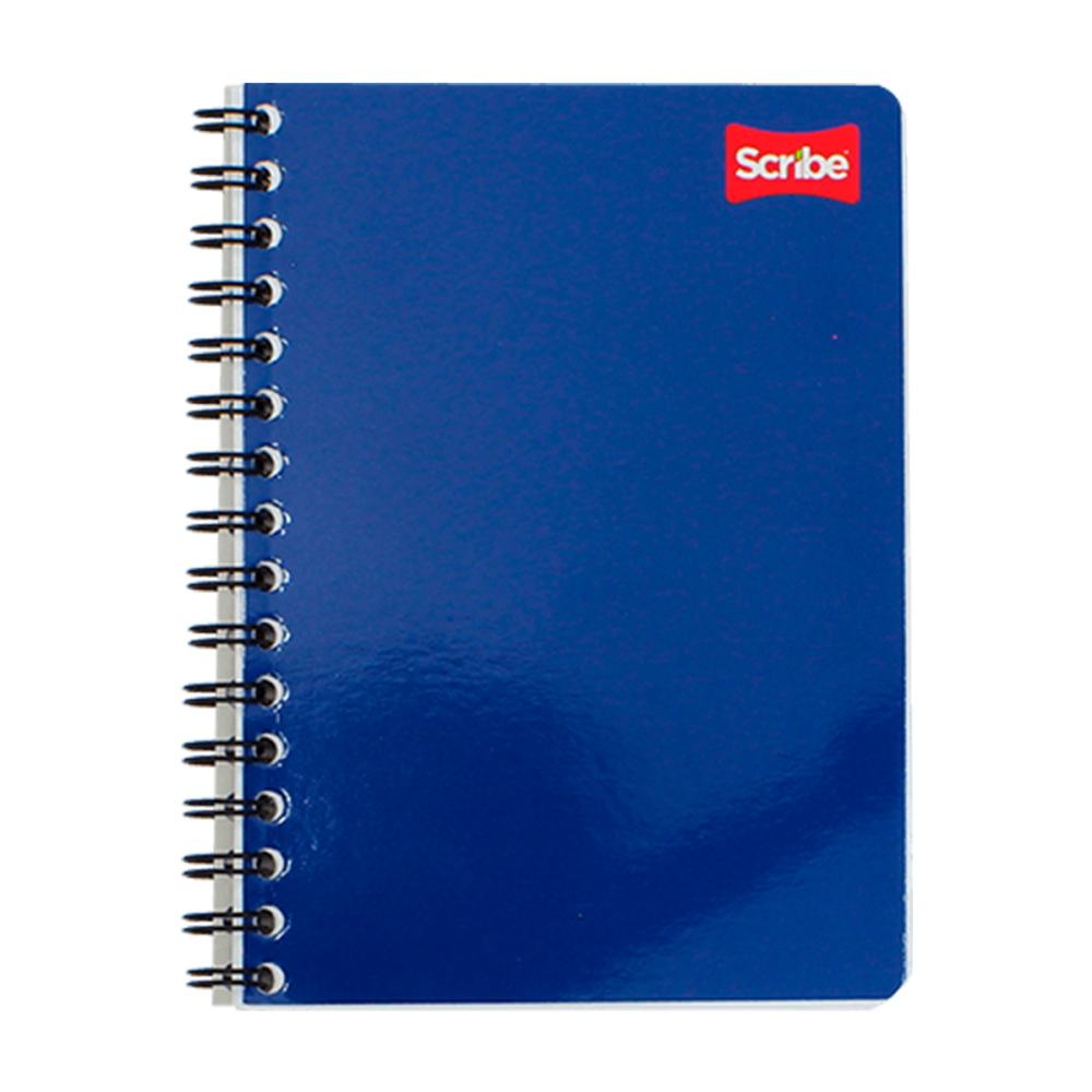 CUADERNO DO FF RAYA 100 HJS CLASICO PC 1600 SCRIBE