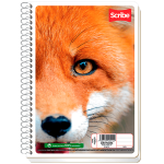 CUADERNO ESPIRAL F.F. ESCOLAR MEGA RAYA 100 HJS 4540