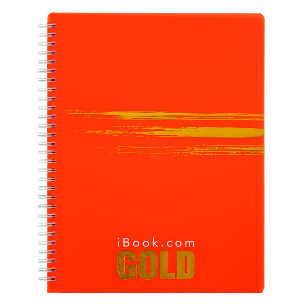 CUADERNO PROF DO RAYA 100 HJS GOLD IBOOK PC 2988