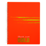CUADERNO PROF DO RAYA 100 HJS GOLD IBOOK PC 2988