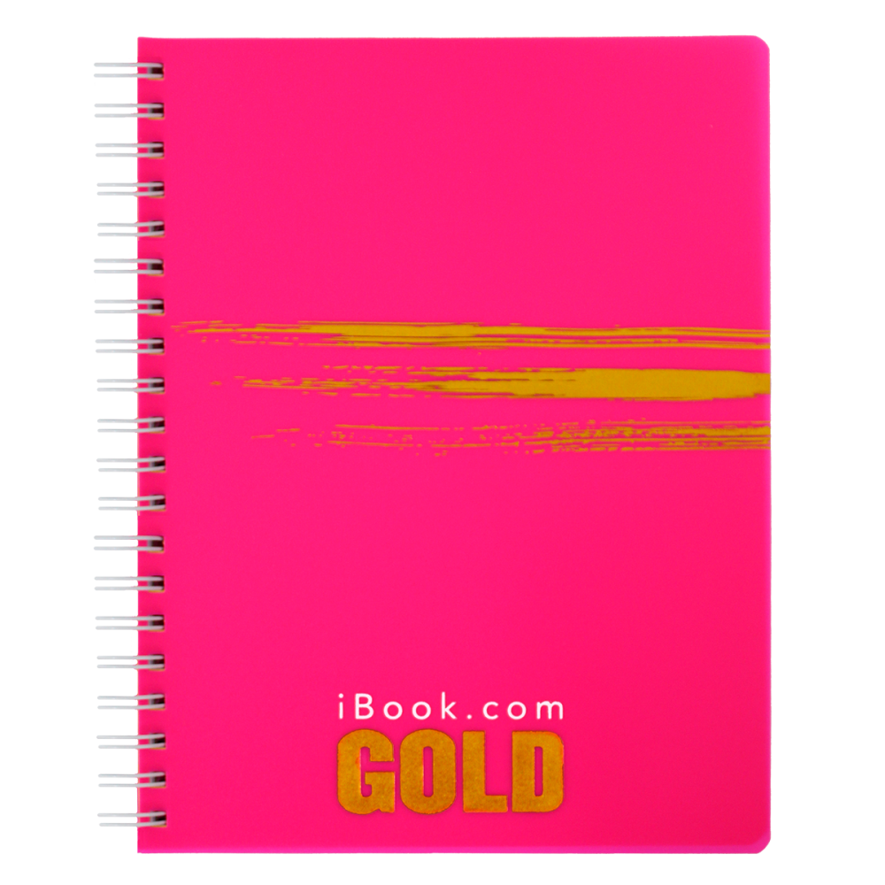 CUADERNO PROF DO RAYA 200 HJS GOLD IBOOK PC 3008