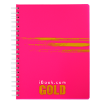 CUADERNO PROF DO RAYA 200 HJS GOLD IBOOK PC 3008
