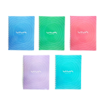 CUADERNO PROF DO RAYA 100 HJS VIVA IBOOK PC 3411