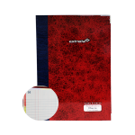 LIBRO DIARIO 96 HJS FLORETE ESTRELLA 102 (L)