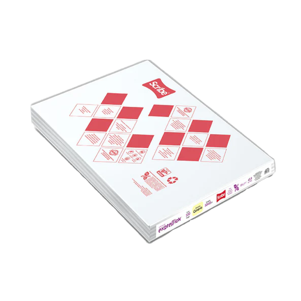 CARTULINA BRISTOL BLANCO 135GRS EXPRESSIONS PLIEGO SCRIBE 