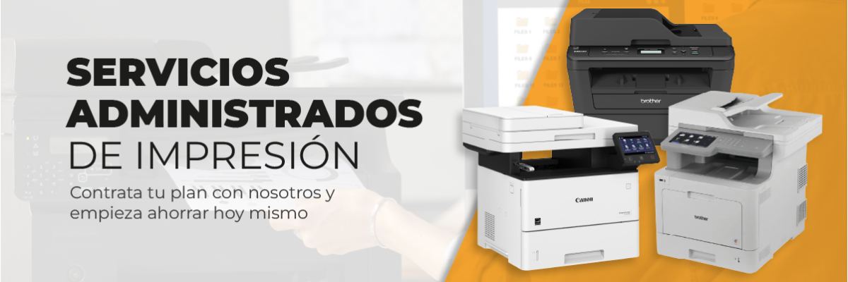 banner-pro4